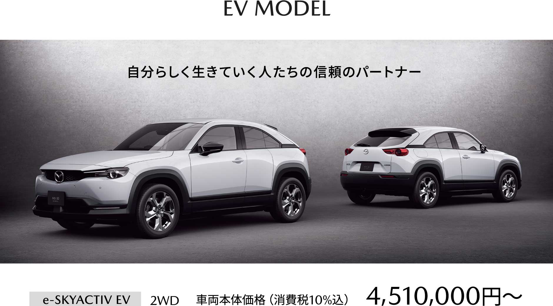 EV MODEL