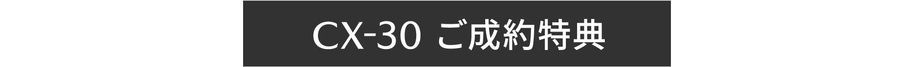 CX-30 ご成約特典