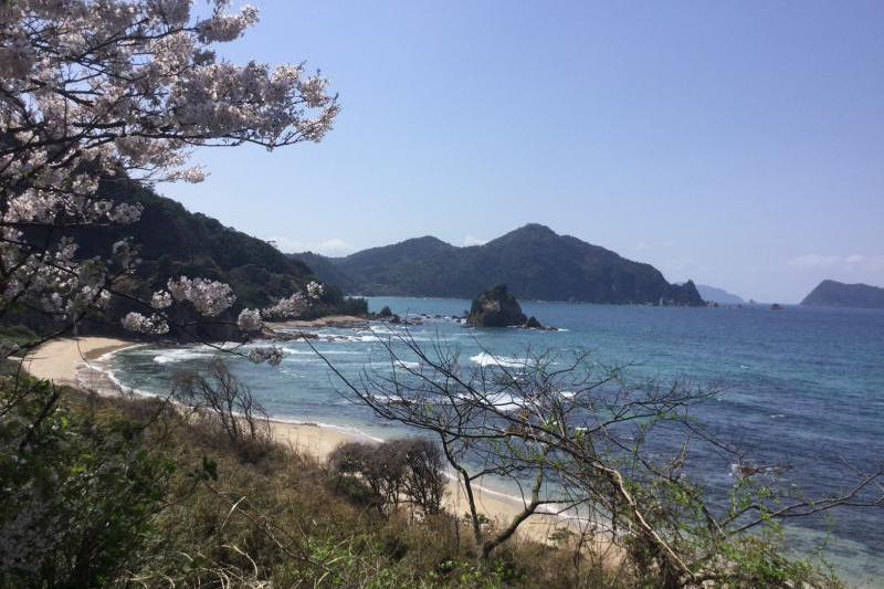 海岸沿いの景色。