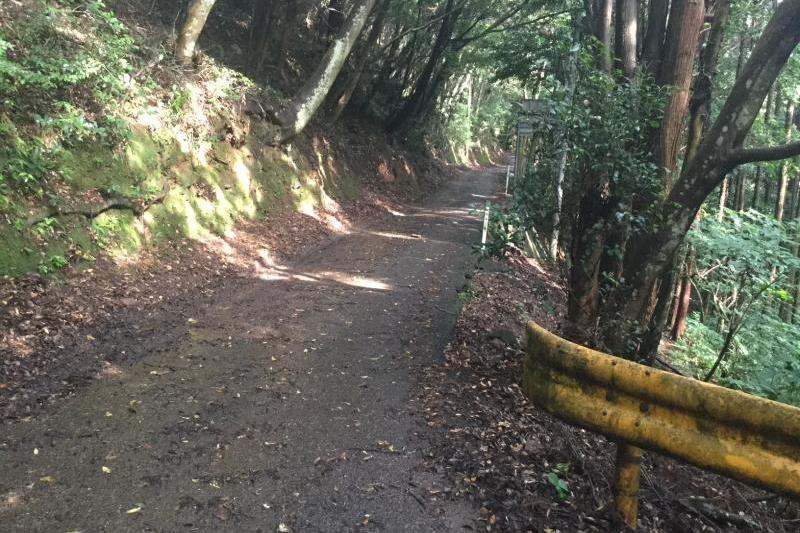 道幅は非常に狭いです。