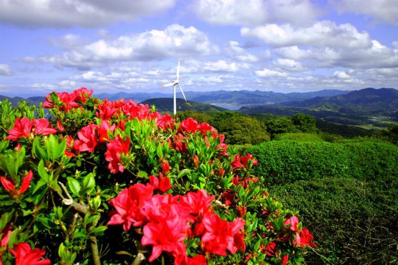 四季折々の花も楽しめます