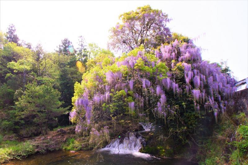 階段を降りるとこの風景