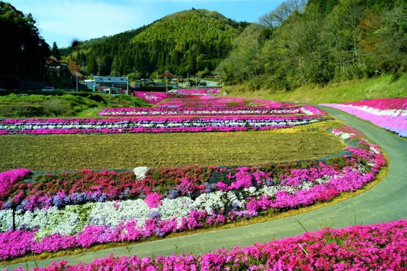 1週ゆっくりと回りたいものです