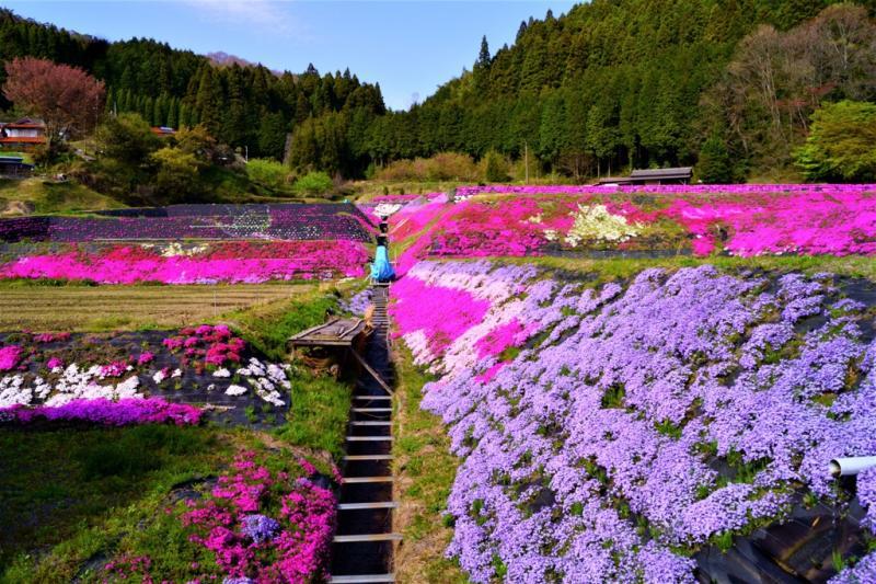 上の段に上っていくと・・・