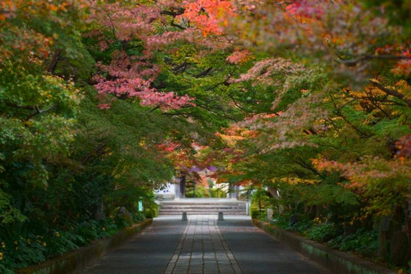 #龍福寺