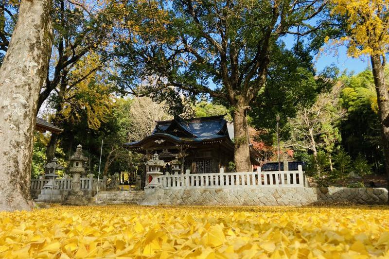 写真は美祢市大嶺町東分の上領八幡宮です。