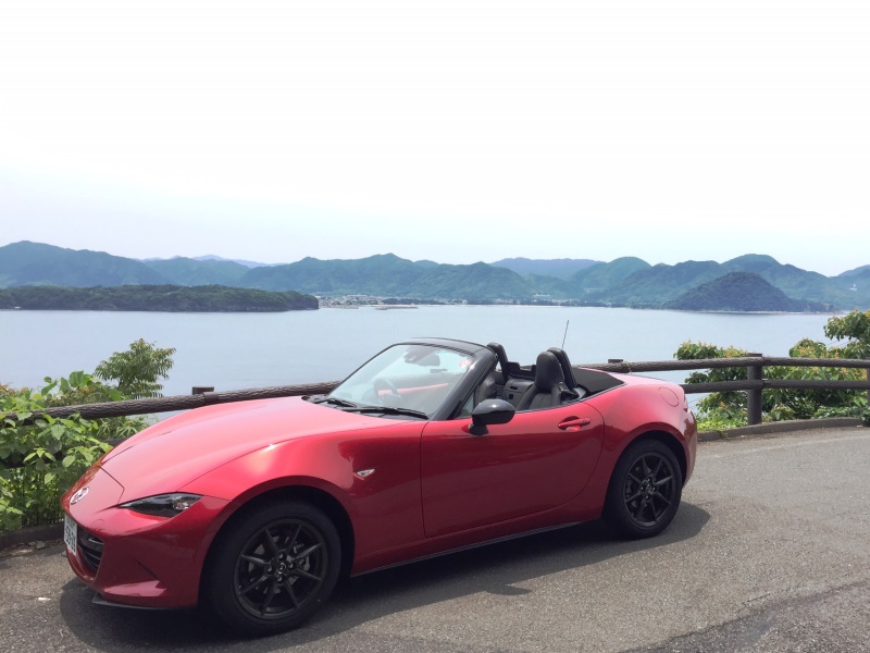 萩市街を望む。笠山頂上手前で展望が開けます。