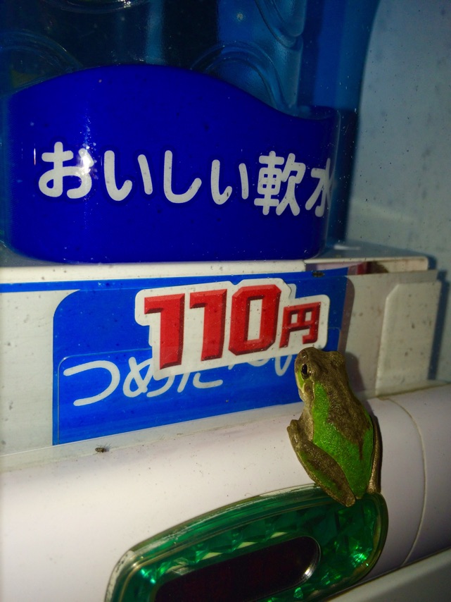 雨の日のドライブもいいですね