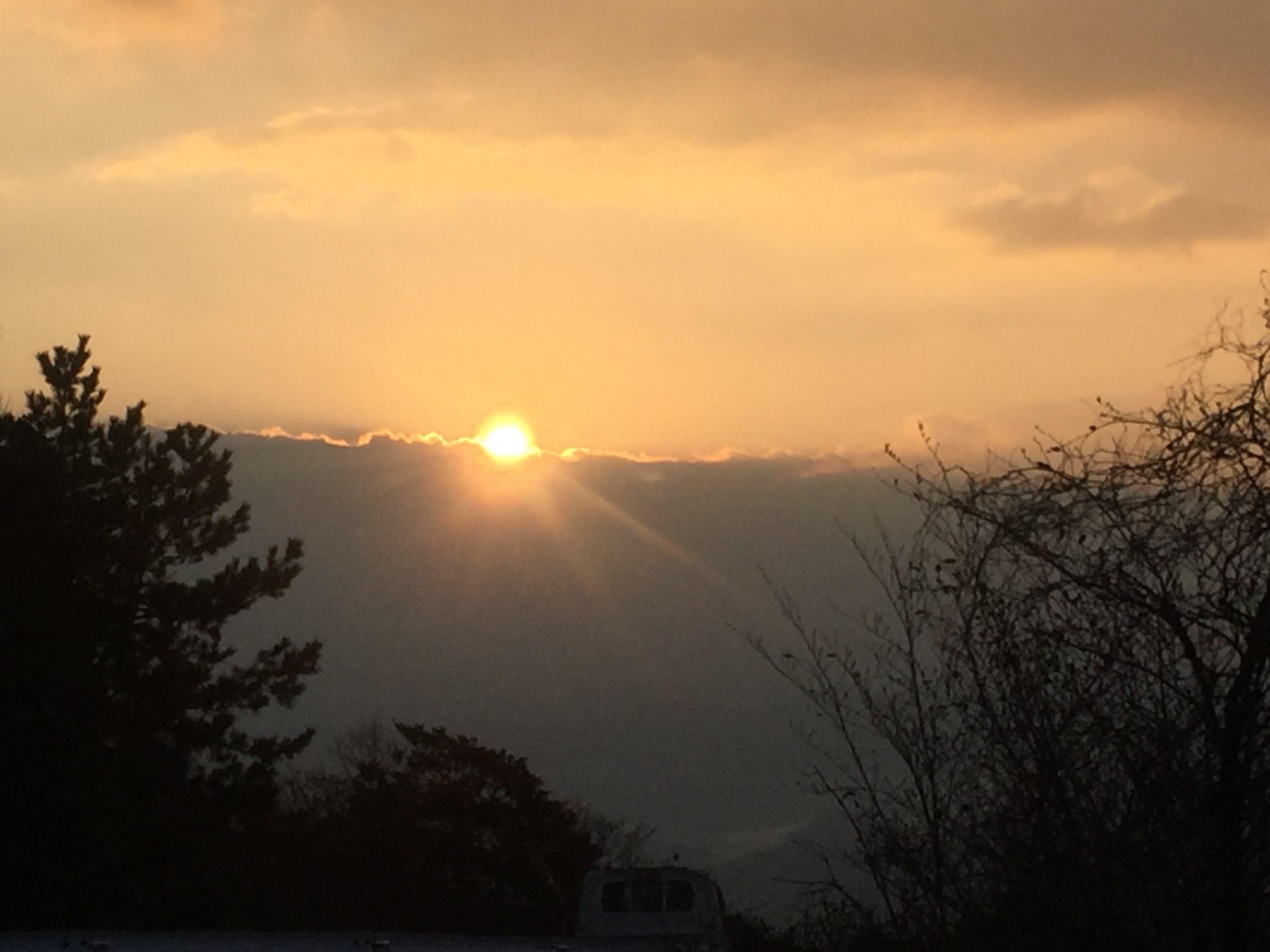 山頂より。何年ぶりでしょう…