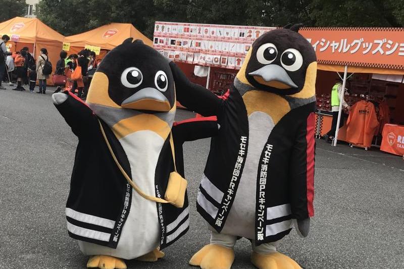 今回お気に入りのモセキ君(右)コモセキ君(左)