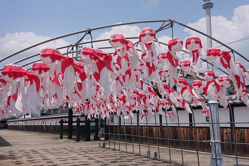 金魚ちょうちんのトンネルです。