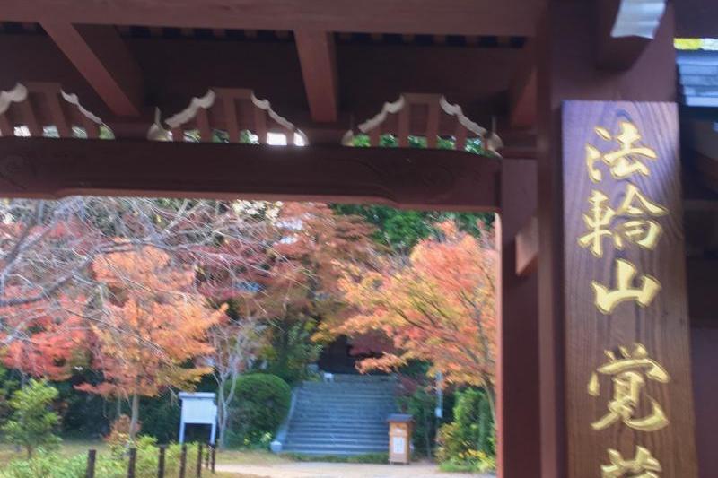紅葉真っ盛りの(^^♪覚苑禅寺