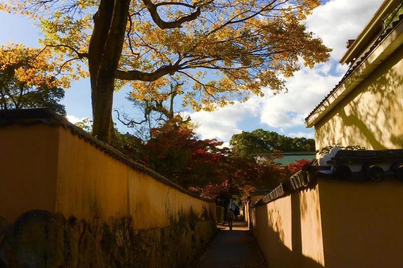色付いた木々が良い雰囲気(^^♪横枕小路